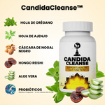 CANDIDA CLEANSE